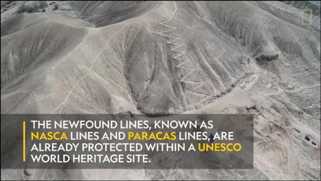 .@materia_ciencia ::: #Mar&iacute;a_Reiche, la guardiana del #MISTERIO del #desierto de #Nazca&hellip;#Alberto_L&oacute;pez @el_pais. &ndash; | Machines Pensantes | Scoop.it