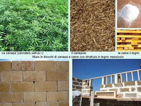 A Capannori si torna a coltivare la canapa per rilanciare il territorio, l'agricoltura e l'occupazione | Orto, Giardino, Frutteto, Piante Innovative e Antiche Varietà | Scoop.it