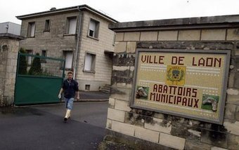 Les abattoirs de Laon (02) ont pris le taureau par les cornes : classement en catégorie 2 | La Gazette des abattoirs | Scoop.it