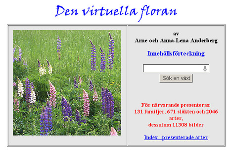 Den virtuella floran | 1Uutiset - Lukemisen t&auml;hden | Scoop.it
