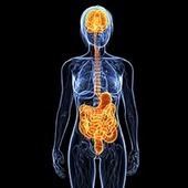Bacterial communities in the gut an indicator for Parkinson’s disease? | #Research #Luxembourg #UNILuxembourg | Luxembourg (Europe) | Scoop.it