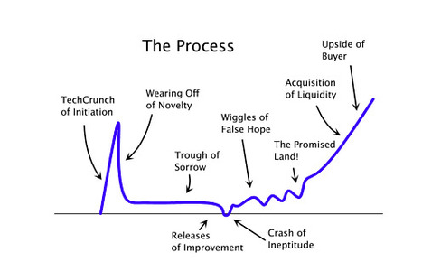 After the Techcrunch bump: Life in the "Trough of Sorrow" | Kick starting START-UPs | Scoop.it