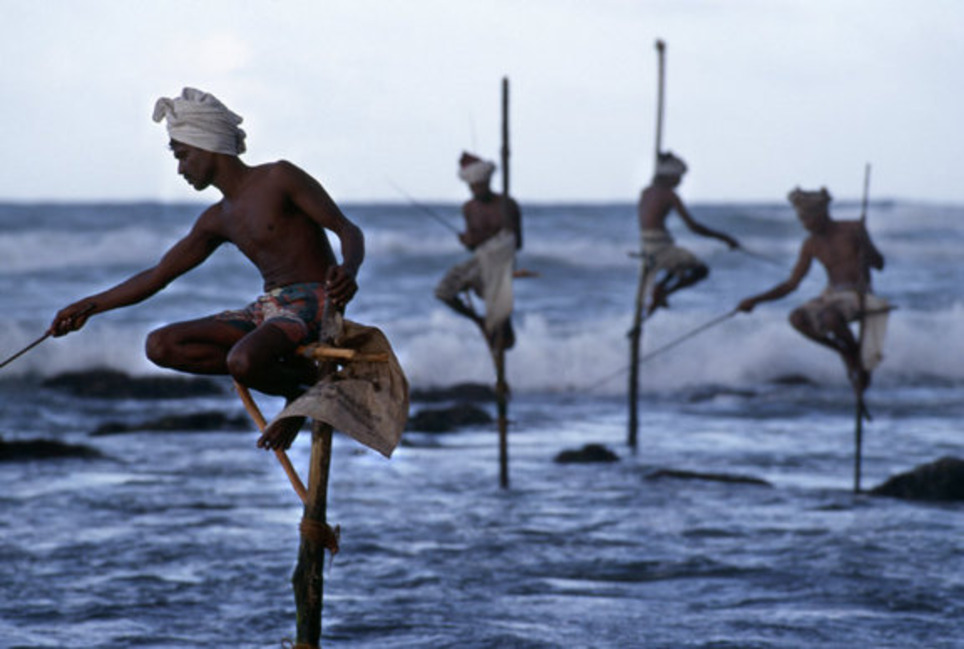 Steve McCurry à Londres, exposition jusqu'au 15 octobre | Livres photo | Scoop.it