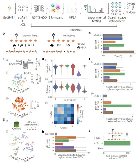 Unsupervised protein language models learn patterns of enzyme function | brvai | RMH | Scoop.it