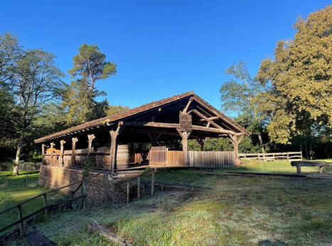 Mise en ligne des dossiers des communes du PNR Landes de Gascogne&nbsp;: Giscos (33) et Luxey (40) - Portail documentaire - Patrimoine Nouvelle-Aquitaine | Landes | Scoop.it