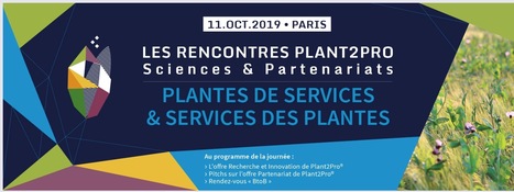 Le 11 octobre 2019, Plant2Pro&reg; organise &agrave; Paris une journ&eacute;e chercheurs-entreprises sur le th&egrave;me de la&nbsp;diversification des services attendus des productions v&eacute;g&eacute;tales. | Life Sciences Universit&eacute; Paris-Saclay | Scoop.it