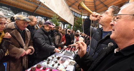 Truffes  : la ru&eacute;e vers l'or noir | Destination Albi - revue de presse | Scoop.it