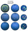 Journal of Biological Engineering | Full text | Solving a Hamiltonian Path Problem with a bacterial computer | Post-Sapiens, les êtres technologiques | Scoop.it