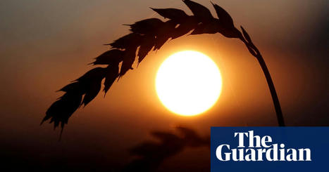 More than 250m people could be pushed into extreme poverty in 2022 – Oxfam | Economics | The Guardian | International Economics: IB Economics | Scoop.it