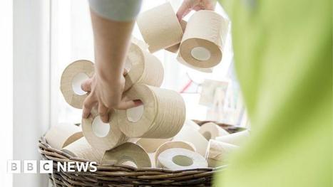 Sainsbury's cuts toilet paper prices as pulp drops | Microeconomics: IB Economics | Scoop.it