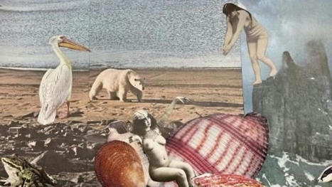A Charleroi, l&rsquo;exposition 'De Ch&egrave;re et d&rsquo;Audass' se r&eacute;approprie l&rsquo;image de la femme - rtbf.be | Culture-Tourisme | Scoop.it