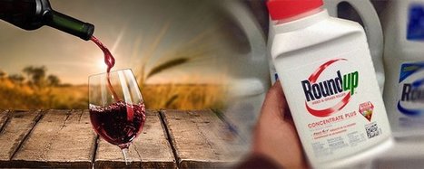 Du RoundUp détecté dans 100% des vins californiens | Toxique, soyons vigilant ! | Scoop.it