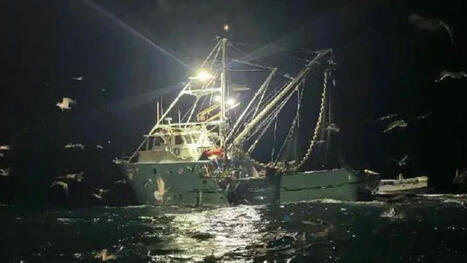 Squid boat captain fined for illegally dumping fishing wastewater off Ventura Harbor | Coastal Restoration | Scoop.it