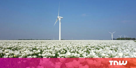 The Netherlands is the ideal breeding ground for green tech startups | consumer psychology | Scoop.it