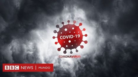 Coronavirus y sistema inmunológico: qué es la tormenta de citocinas que sufren algunos pacientes graves de covid-19 | Bioquímica, Genomica y Salud | Scoop.it