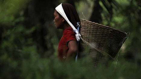 Which #African Countries Are In The Most #Debt - and Why? #Investorseurope #WorldBank | Development Economics | Scoop.it