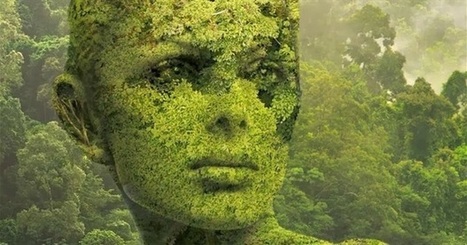 The Greening of the Self: The Most Important Development of Modern Times | Thinking about Systems | Scoop.it