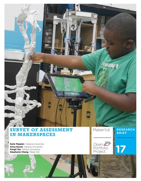 SURVEY OF ASSESSMENT IN MAKERSPACES | iPads, MakerEd and More  in Education | Scoop.it
