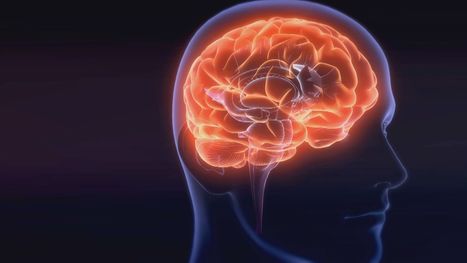 Quel avenir pour notre cerveau? - Sciences | Médecine  Cerveau Intelligence | Scoop.it