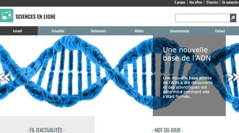 Sélection de bases de données de la Bibliothèque de la Cité des sciences et de l'industrie | Insect Archive | Scoop.it