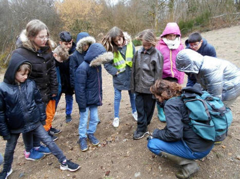 Appel à projet : faire participer les élèves à la gestion d'une « Aire éducative » | Biodiversité | Scoop.it