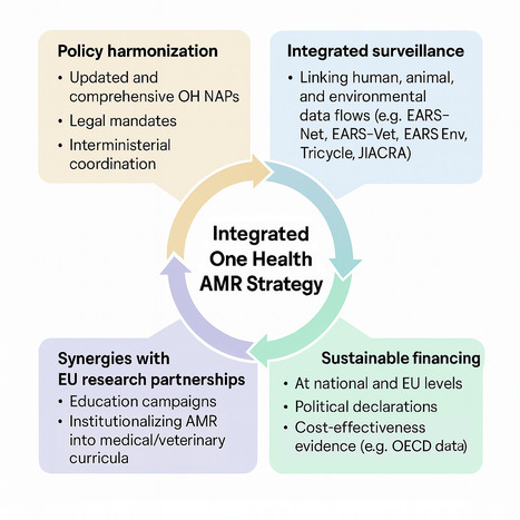 Renforcer la gouvernance contre l’antibiorésistance dans une approche Une Seule Santé : l’Europe se mobilise avec la JAMRAI-2 | Life Sciences Université Paris-Saclay | Scoop.it