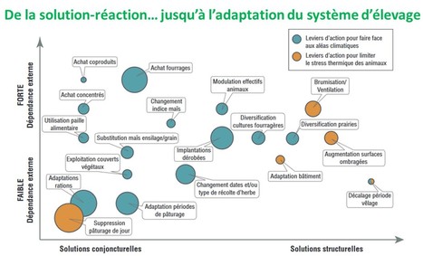 Face aux aléas climatiques, quels sont les impacts et les leviers d’adaptation sur mon exploitation laitière ? | Lait de Normandie... et d'ailleurs | Scoop.it