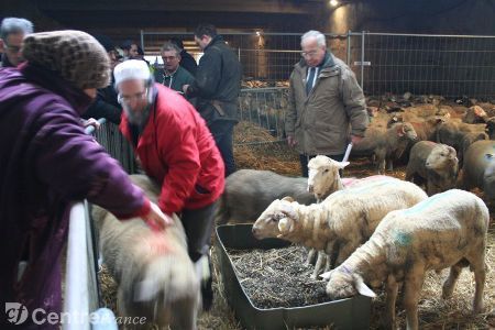 Flonville et Dreux (28) attendent 1.700 moutons pur l'Aïd | La Gazette des abattoirs | Scoop.it