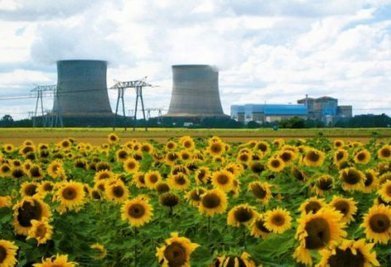 La loi de transition énergétique consacre la souveraineté du nucléaire en France | démocratie énergetique | Scoop.it