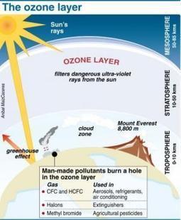 UN panel says retool world economy for sustainability | Networked Society | Scoop.it