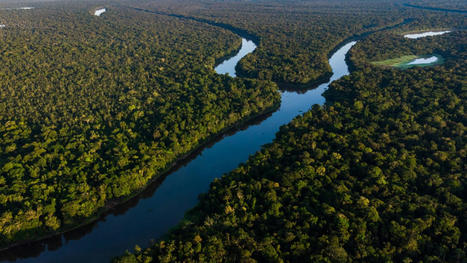 «Amazonas», une photographie des habitants de l'Amazonie et de leurs rapports à la nature | Biodiversité & Relations Homme - Nature - Environnement : Un Scoop.it du Muséum de Toulouse | Scoop.it