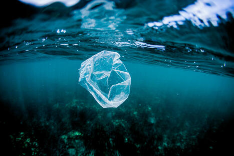 Rosalie Mann, présidente de No More Plastic Foundation : « Le recyclage du plastique est une hérésie et un non-sens sanitaire » | Eco-conception | Scoop.it