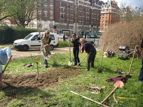 Le week-end où des forêts comestibles ont surgit dans Paris | Ces infos qui nous font du bien | Scoop.it
