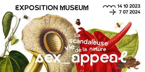 Sex-appeal, l'intimité de la nature exposée au Muséum de Toulouse | Variétés entomologiques | Scoop.it