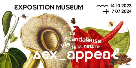 Sex-appeal, l'intimit&eacute; de la nature expos&eacute;e au Mus&eacute;um de Toulouse | Vari&eacute;t&eacute;s entomologiques | Scoop.it