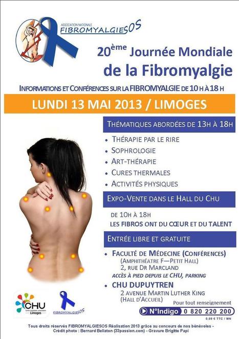 20&egrave;me journ&eacute;e mondiale de la fibromyalgie : conf&eacute;rences &agrave; Limoges le 13 mai 2013 | Association FibromyalgieSOS | Scoop.it