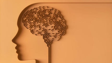 Cognitivism In eLearning | Education 2.0 & 3.0 | Scoop.it