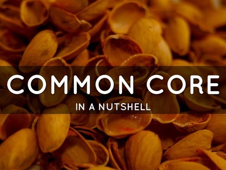 "Common Core In A Nutshell" | Common Core State Standards SMUSD | Scoop.it