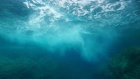 L’Europe ne parvient pas à réduire la pollution chimique du milieu marin - EURACTIV.fr | GREENEYES | Scoop.it