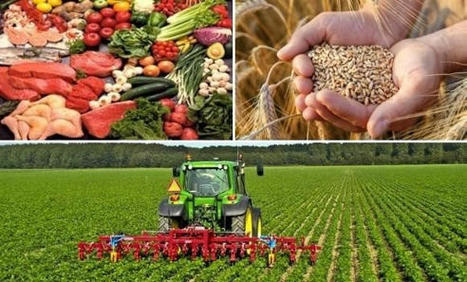 Sécurité alimentaire : L’ALGERIE abritera la 1re conférence panafricaine | MED-Amin network | Scoop.it