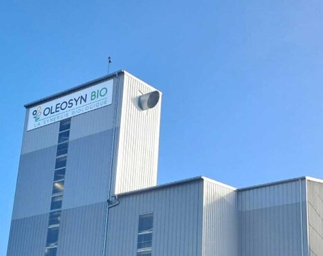 OLEOSYN BIO et AUROUZE donnent un nouvel élan à la filière oléagineuse bio française | ITERG - Veille sectorielle | Scoop.it