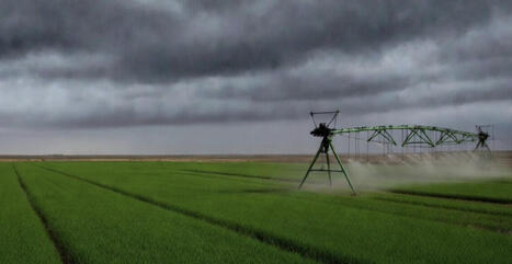 TUNISIE : 124 millions $ pour la r&eacute;alisation d&rsquo;un projet pour renforcer l&rsquo;irrigation agricole, baptis&eacute; &laquo; Projet de s&eacute;curit&eacute; hydrique, de r&eacute;silience et de valorisation en irrigation &raquo; | CIHEAM Press Review | Scoop.it