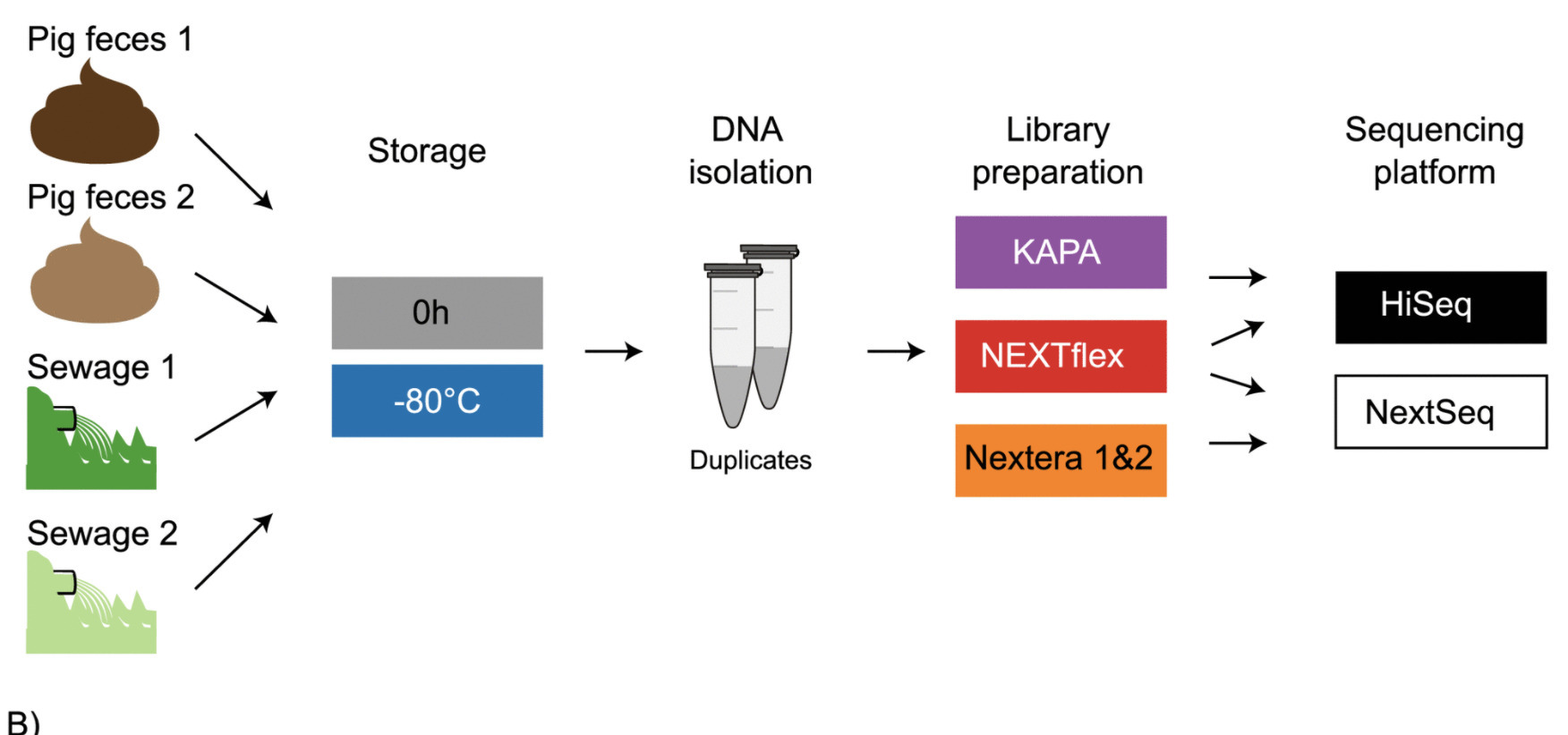 Library Preparation and Sequencing Platform Int...