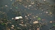 Dyson imagine l'aspirateur à pollution marine | MarcelGreen.com | Pollution accidentelle des eaux par produits chimiques | Scoop.it
