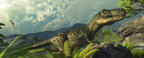 We Tried Lifeliqe to Explore What Educational VR Content Actually Looks Like (EdSurge News) | Virtual Reality & Augmented Reality Network | Scoop.it