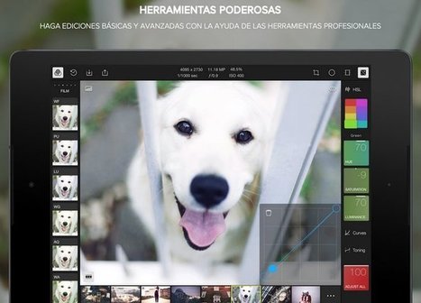 Polarr, uno de los mejores editores de imágenes gratis en línea, ahora en Android e iOS | TIC & Educación | Scoop.it