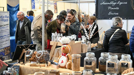 Albi. Avec 16 000 visiteurs, record battu pour la foire | Destination Albi - revue de presse | Scoop.it