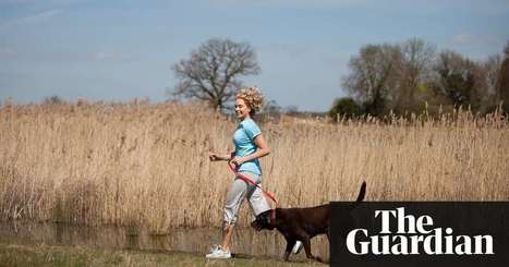 The five habits that can add more than a decade to your life | Science | The Guardian | Physical and Mental Health - Exercise, Fitness and Activity | Scoop.it