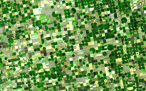 NASA announces first geostationary vegetation, atmospheric carbon mission | ICSU becoming ISC ... Biocluster | Scoop.it