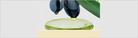 Quotazioni di mercato per gli oli da olive del 23 aprile 2024 | OLIVE NEWS | Scoop.it
